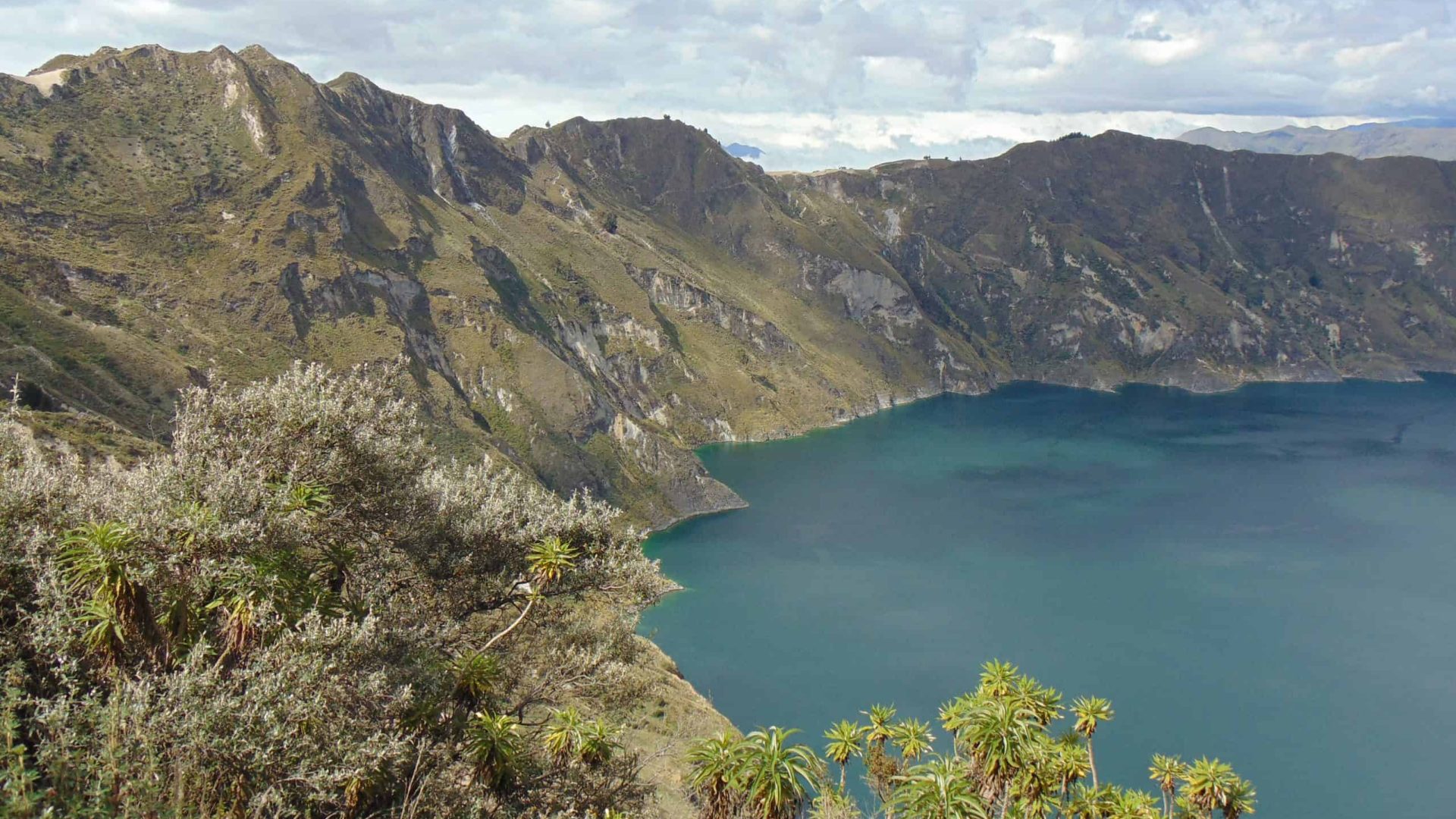 Cordillera Wilderness Medicine