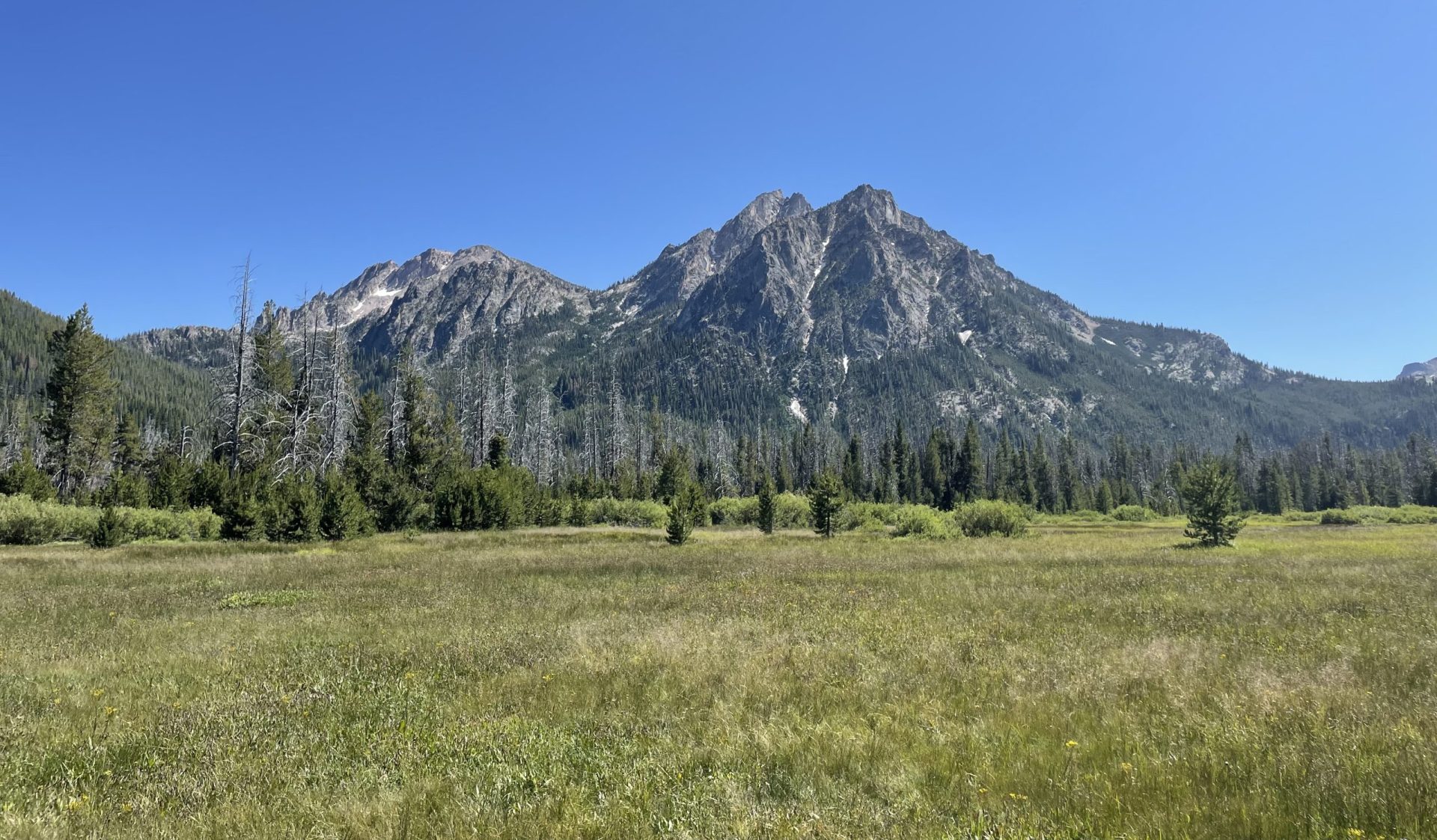 Cordillera Wilderness Medicine